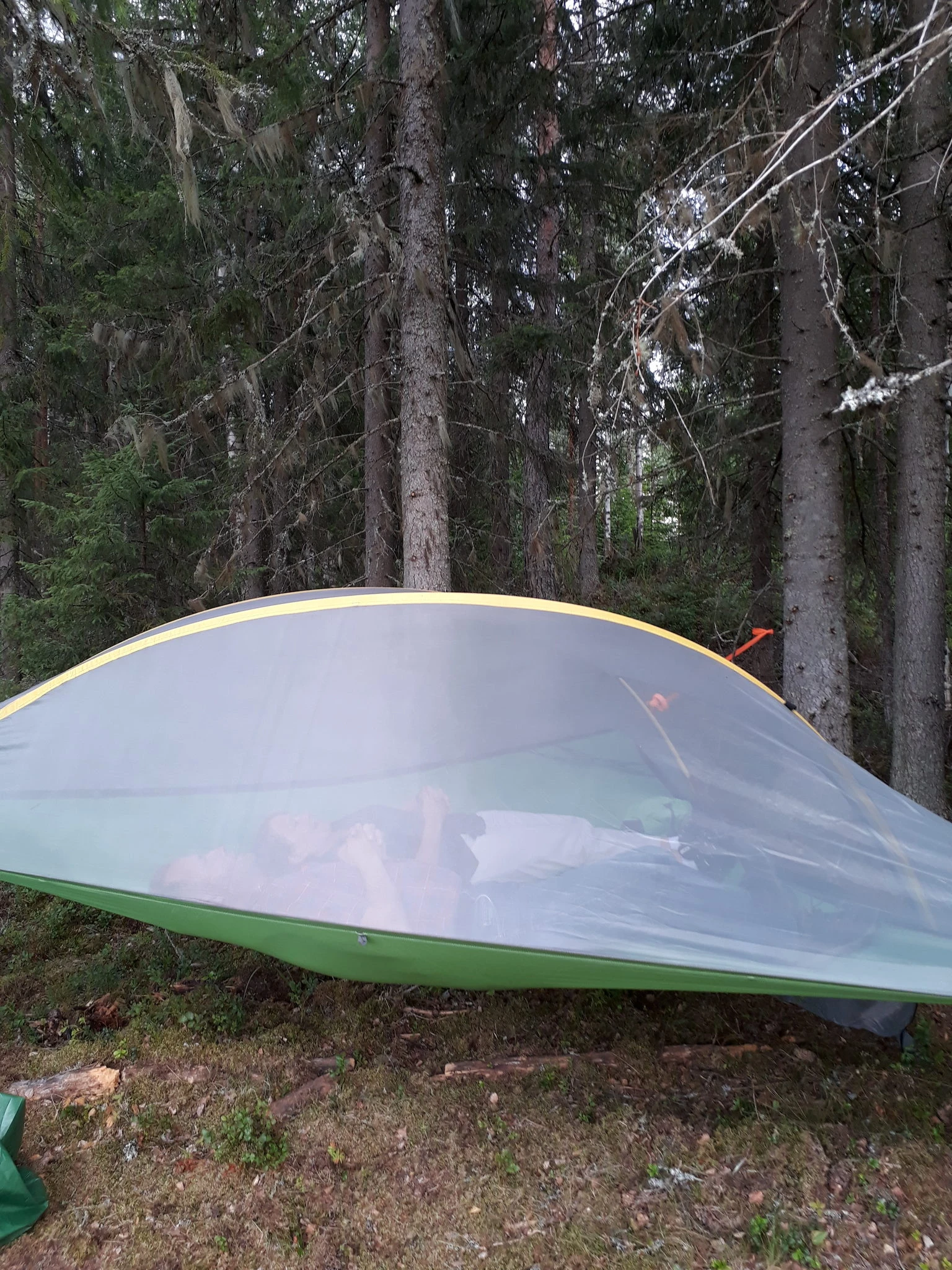 Tentsile Stingray puumajoite 3 hengen teltta Kinkamon pirtti